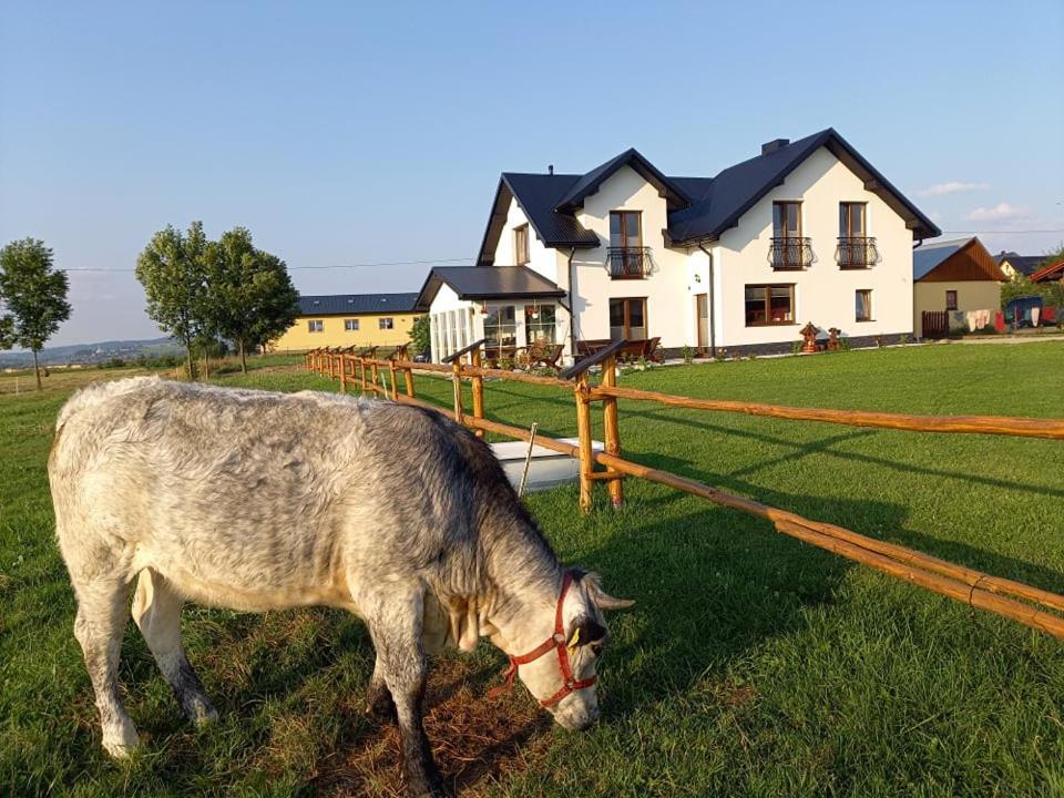 Zagroda Na Borach Jablonka  Buitenkant foto